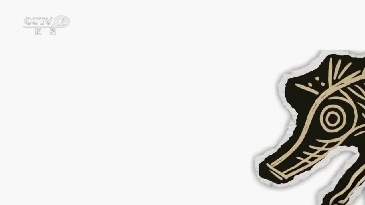 《动物驯化简史》鱼：地球的活化石 5亿年前就已现身 养殖历史竟如此短暂？【CCTV纪录】