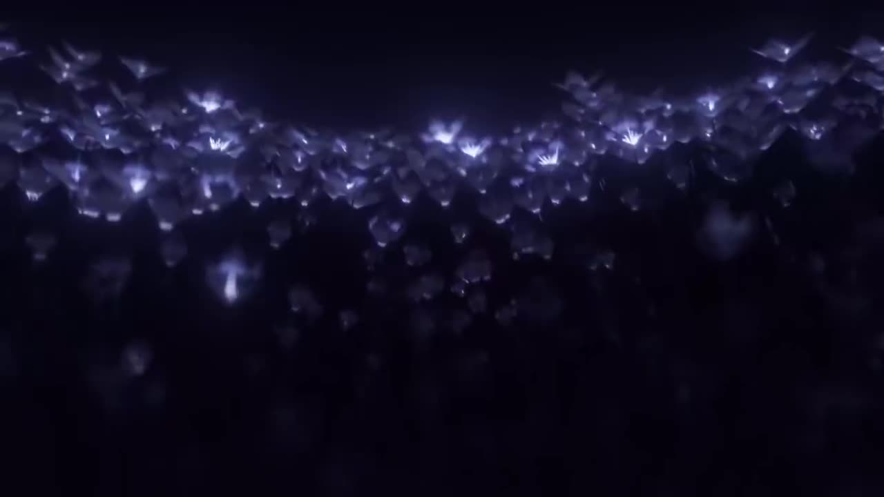 第四十一集 莫塔里