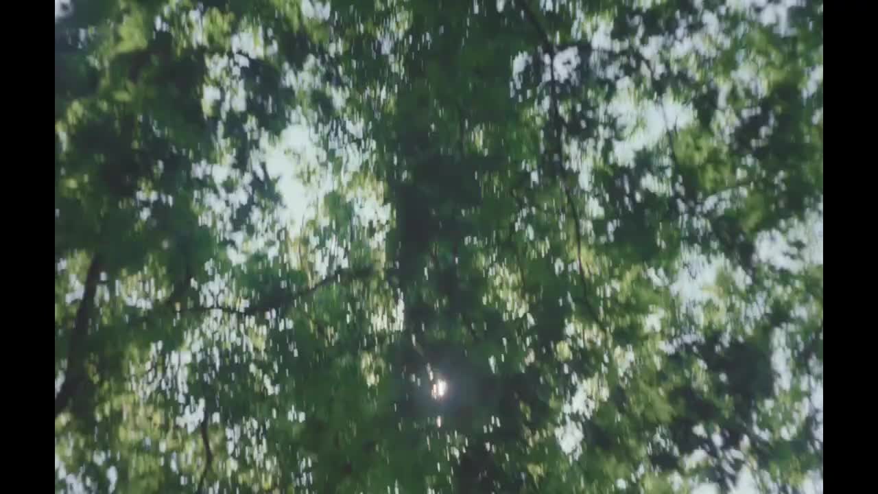 fz