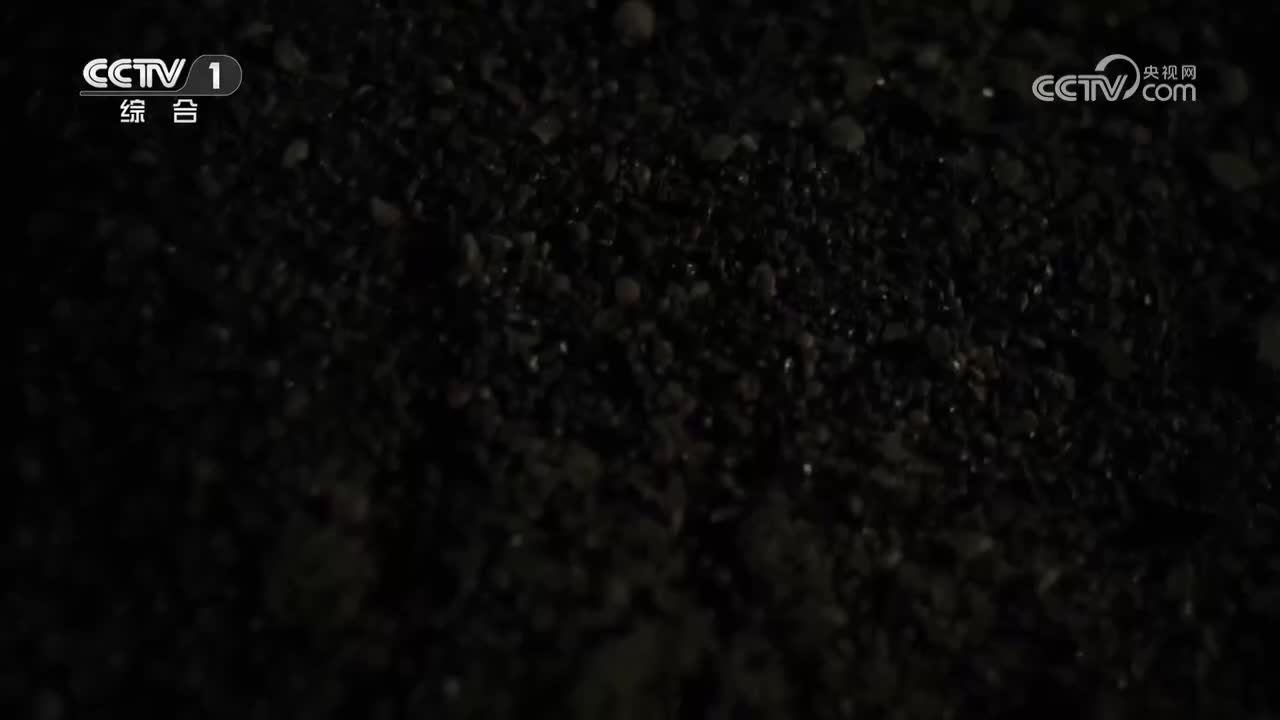 第5集 无处不在的号角