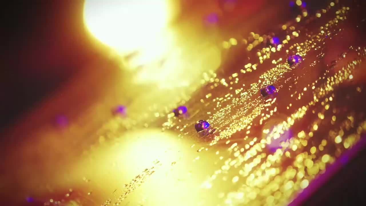 20231110 ORANGE BLOOD Preview