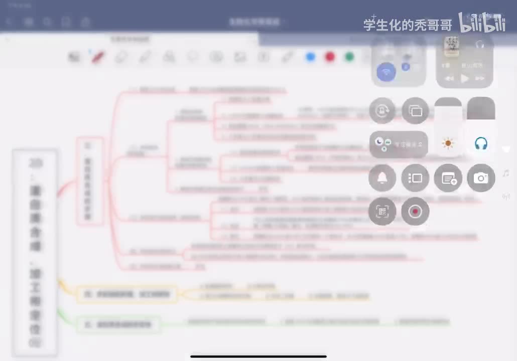 23：蛋白质合成、加工和定位02