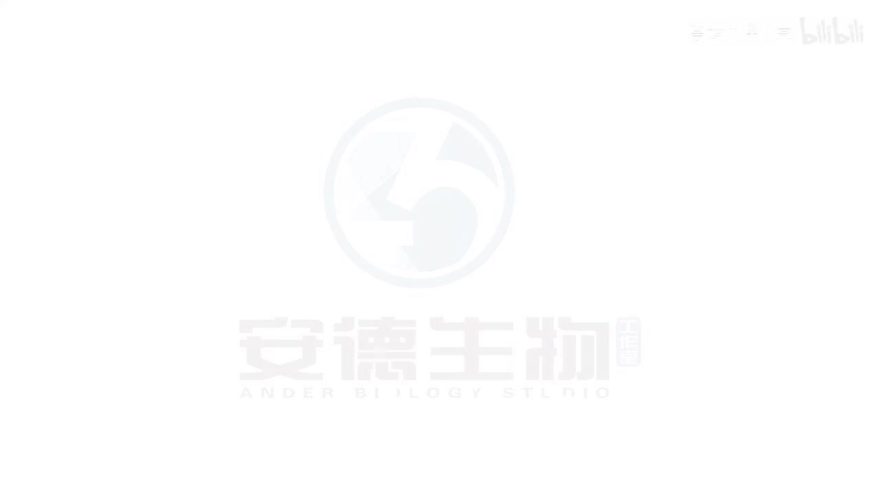 10.有丝分裂和减数分裂