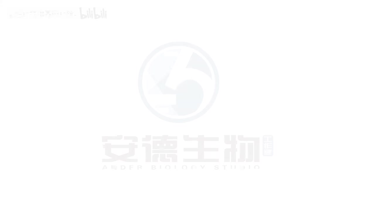 15.分离定律和配子法