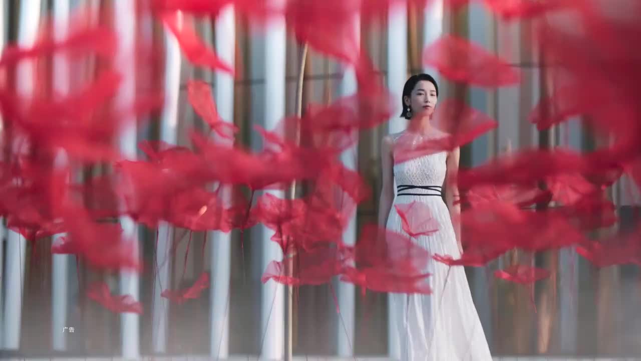 华为 P30 系列广告（2）