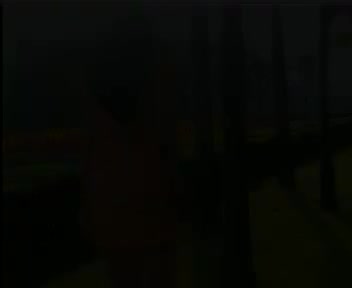 太傻