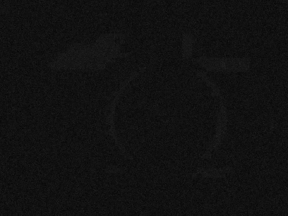 【Day5朝】毕业 -- 栖