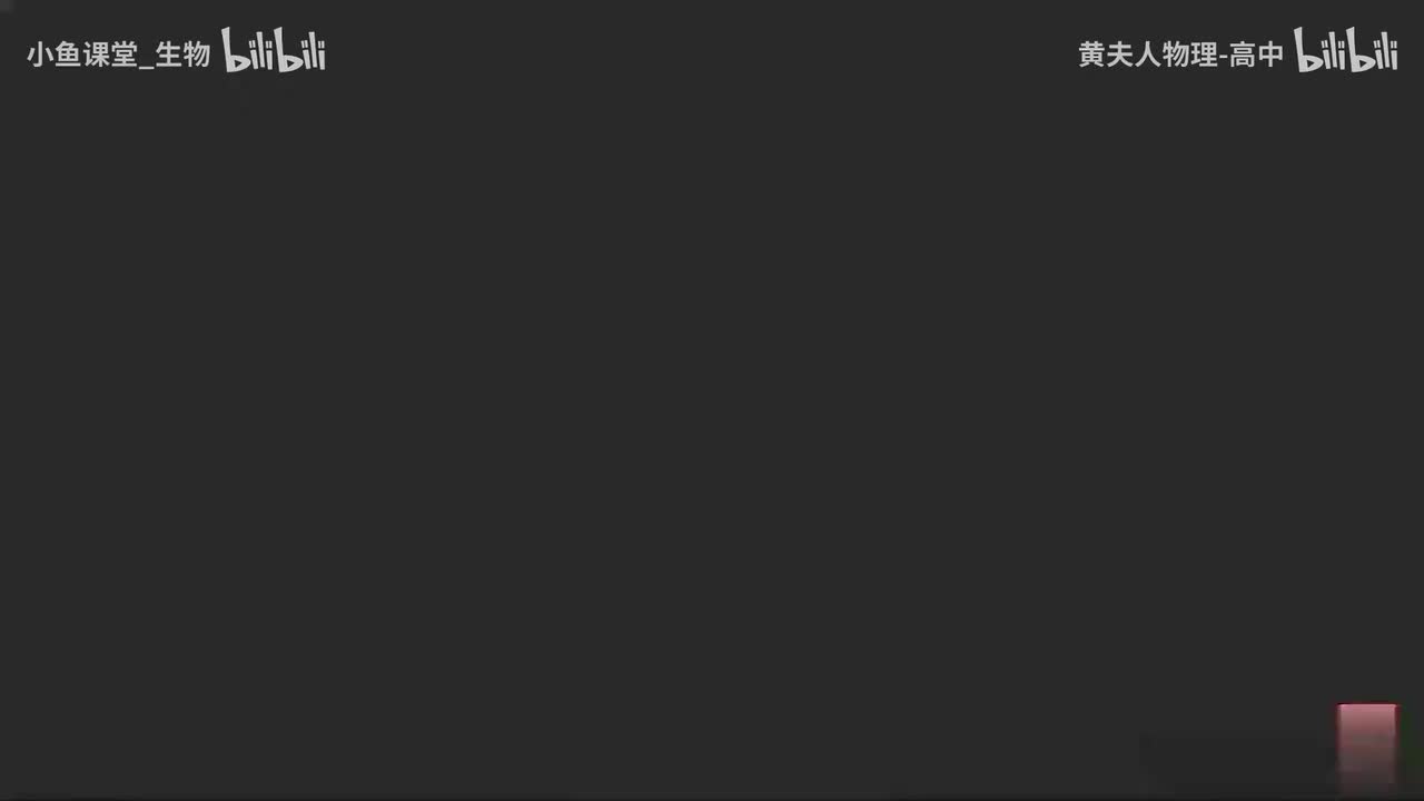 22-32 匀变速直线运动的位移与时间的关系（下）