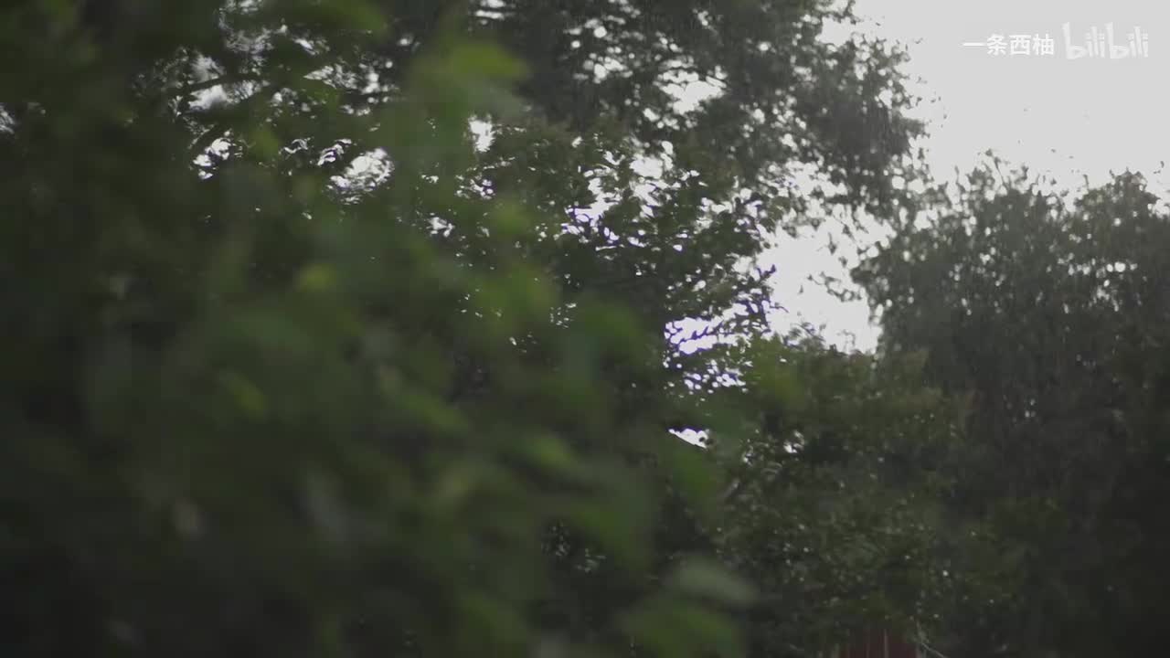 雨中氛围感 (60)