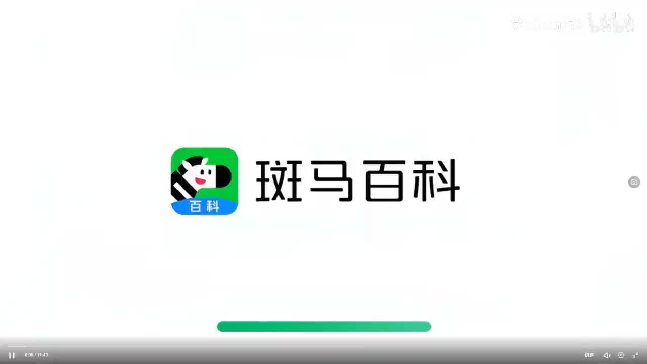 4.热带雨林冠层动物3