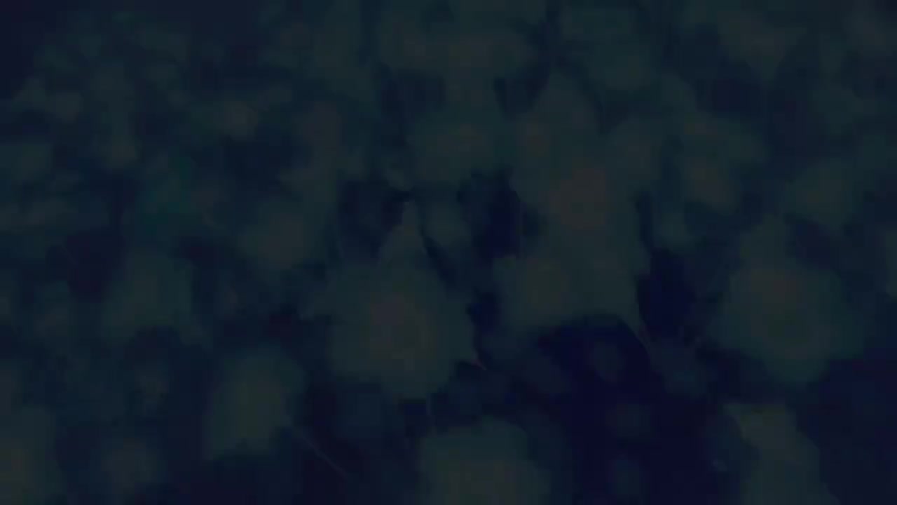 【空月之歌·月之二】版本PV OST完整版