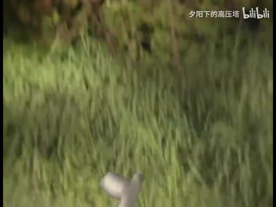 第1集 猴王初问世（14）