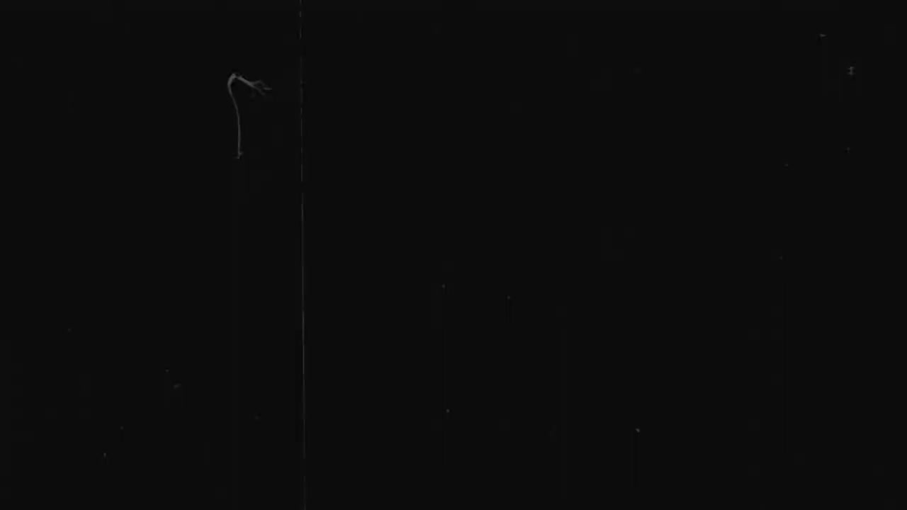 【第十八章】世隔僻港