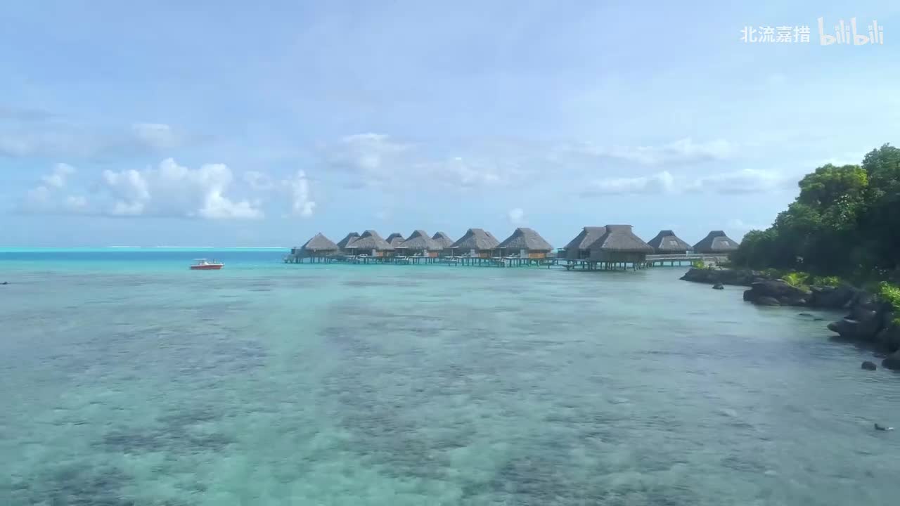 夢 - 灰阶