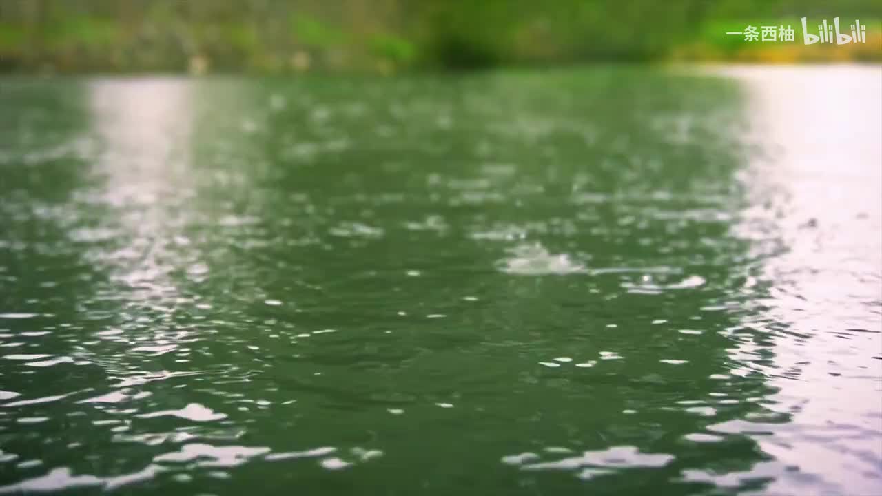 雨中氛围感 (26)