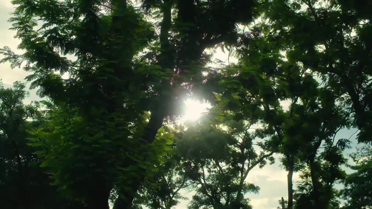 cut第五集 无敌会撒娇的小van