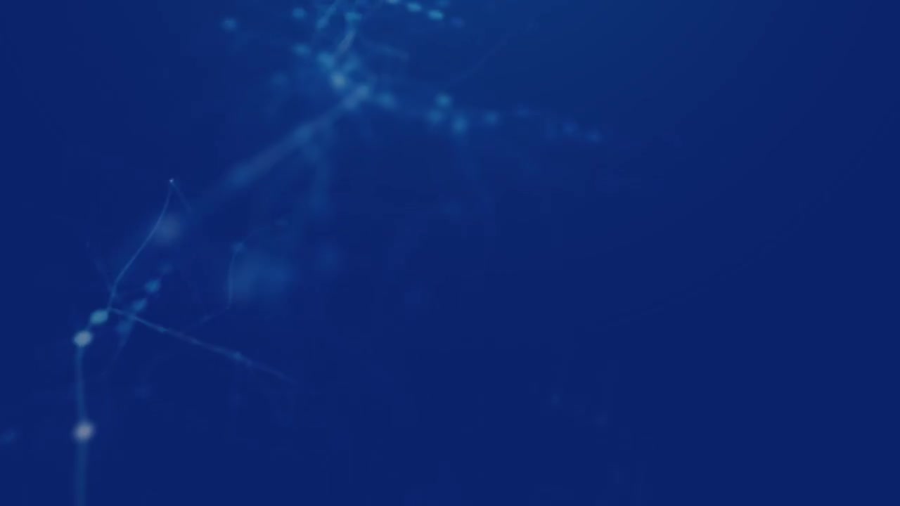 68 企业案例-LED 尾灯的安装