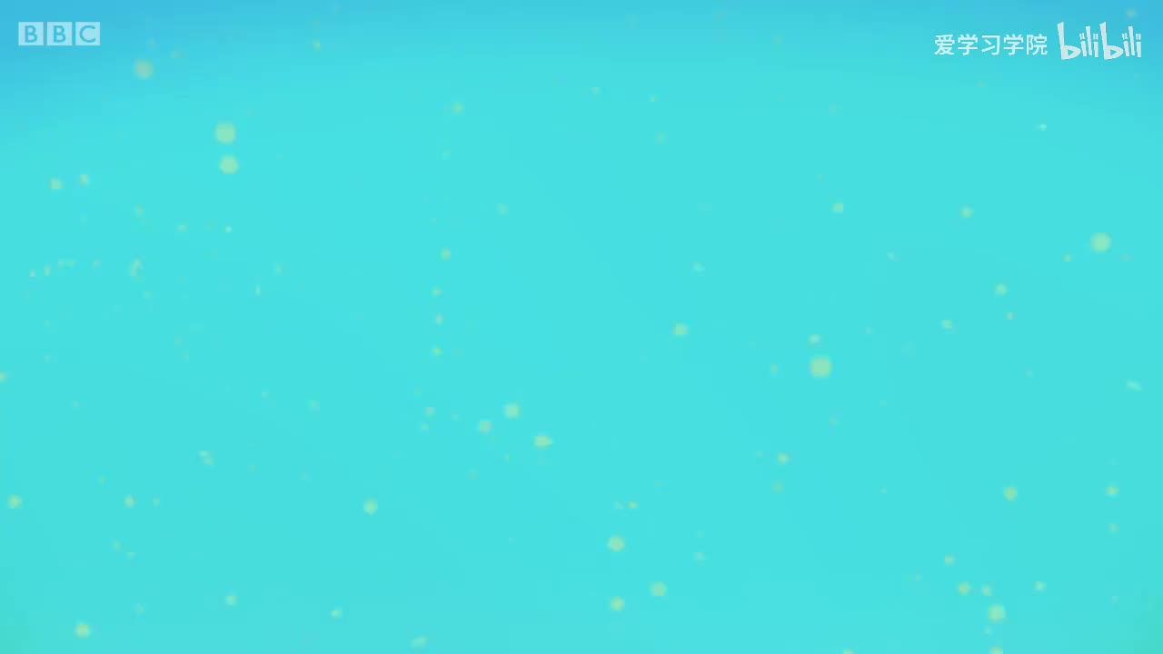 第2季AB.S02E25