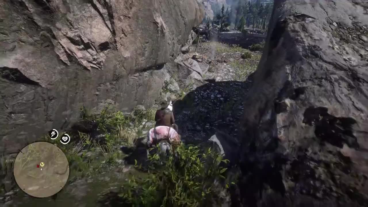 第2章 P5 罕异的善举