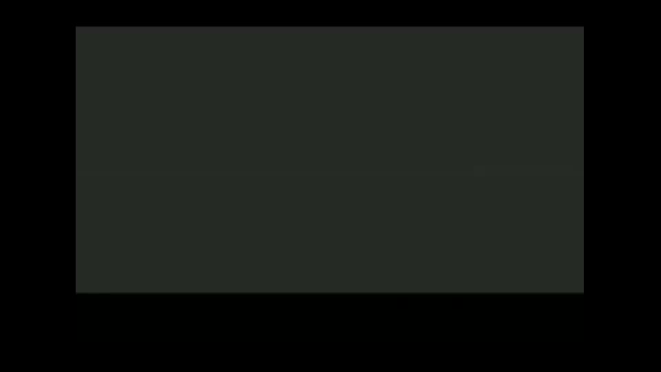 沸腾的心（开心闯龙年）