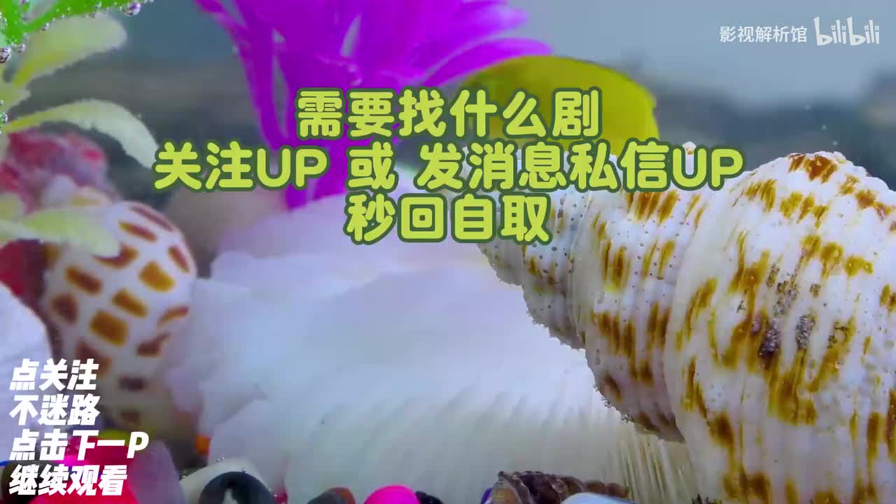 感谢观看