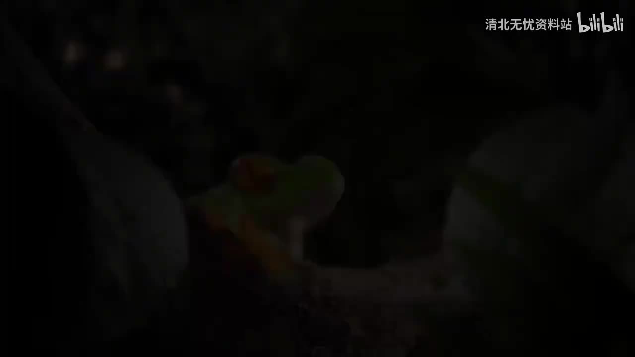 22.二年级（上）001.惹不起的小青蛙：小蝌蚪找妈妈