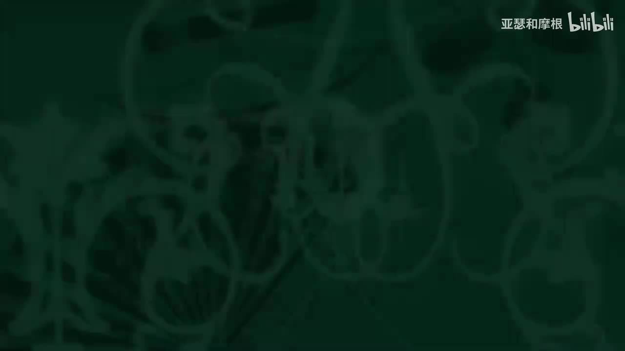 13.芭比公主三剑客（2009）