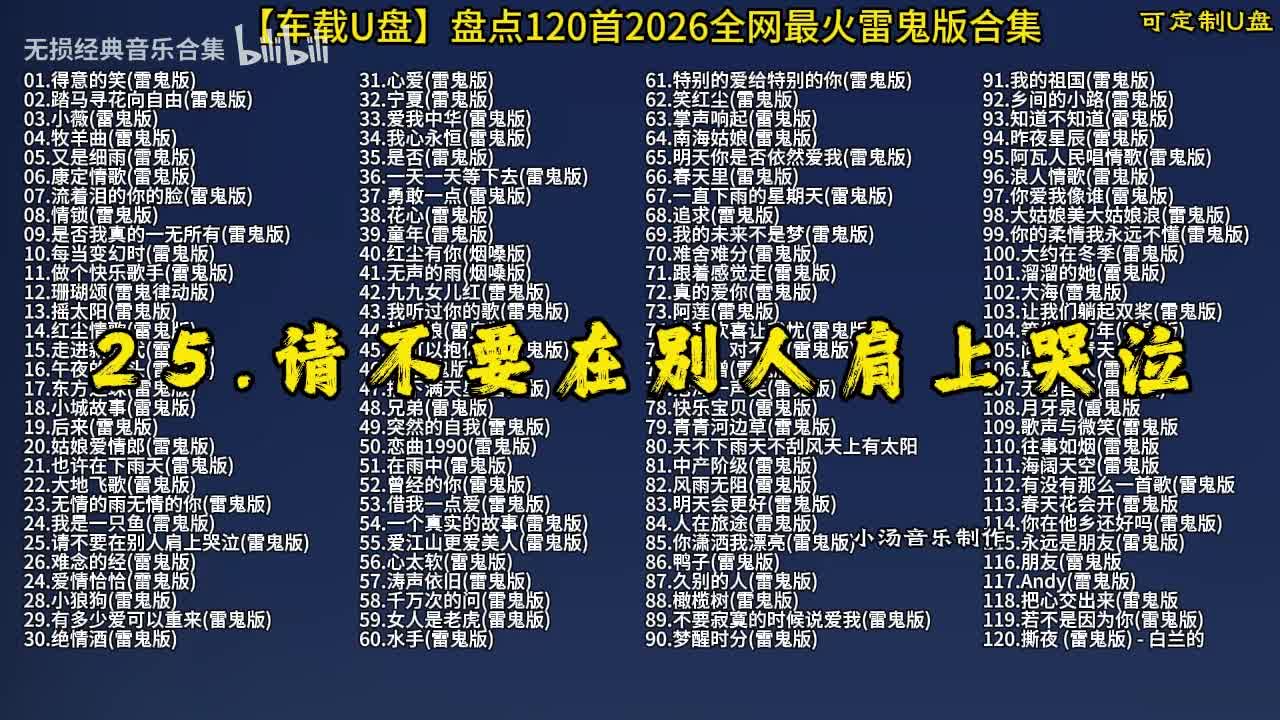100首抖音热门 (26)