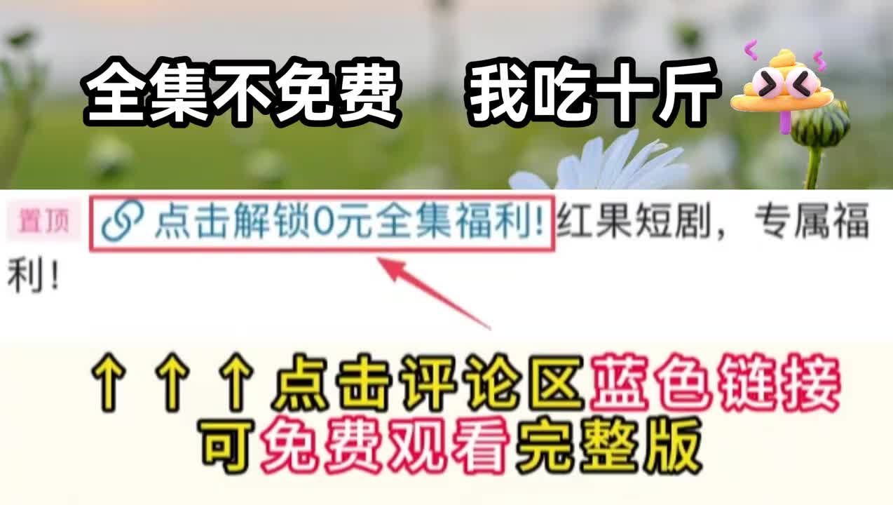评论区置顶看全集！！！