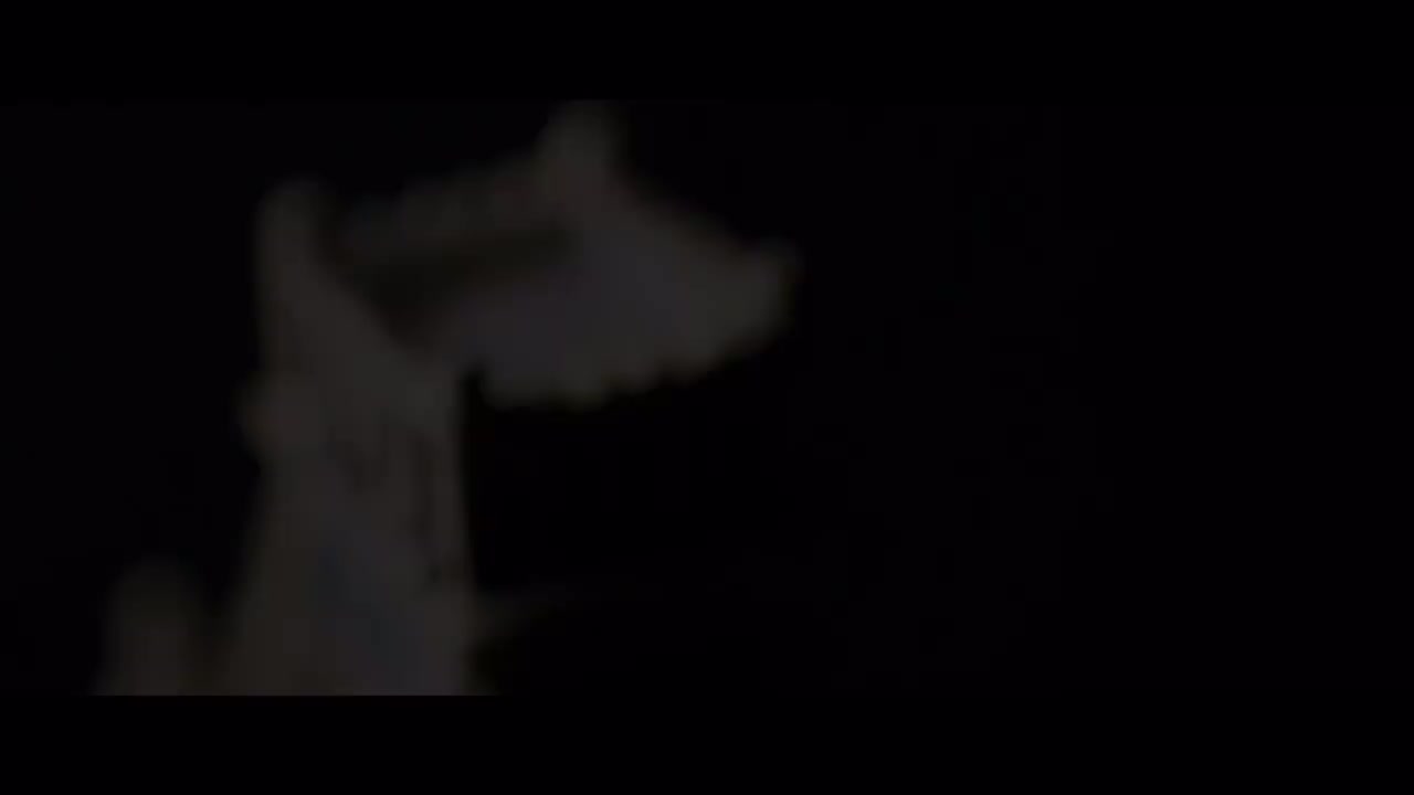 Week 8 HTML, CSS, JavaScript