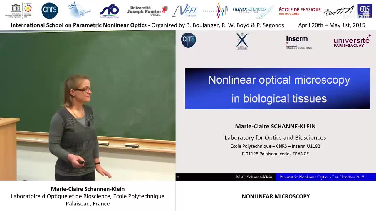 044 - 44-44 nonlinear microscopy