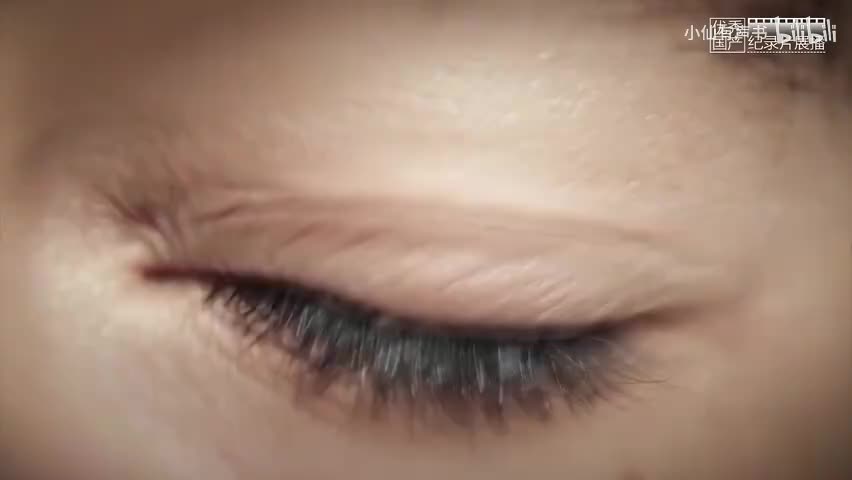 第六集 知本时代（下）