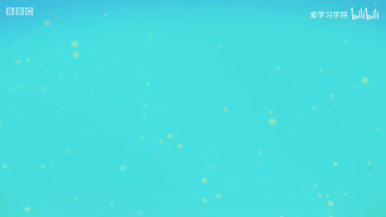 第2季AB.S02E13