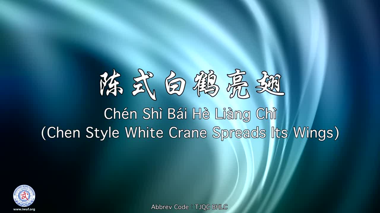 7.陈式白鹤亮翅