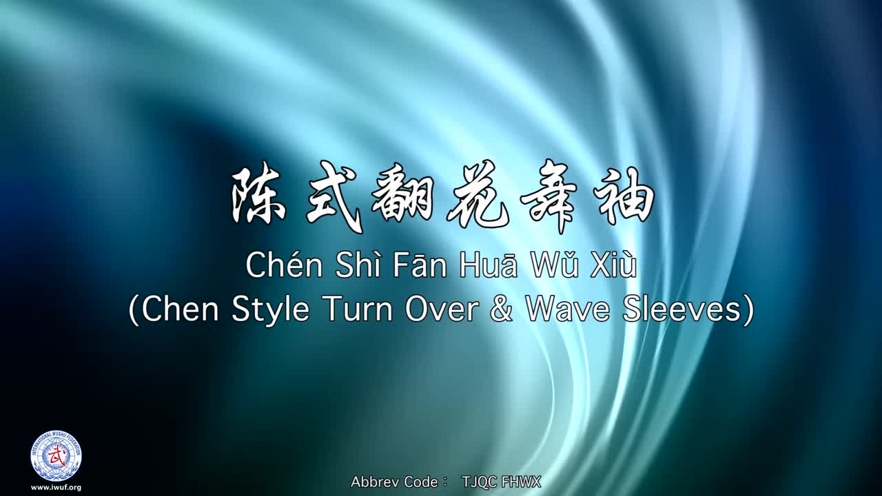 24.陈式翻花舞袖
