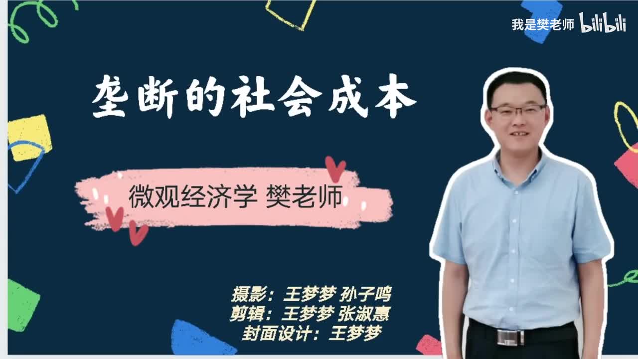 11.2垄断的社会成本