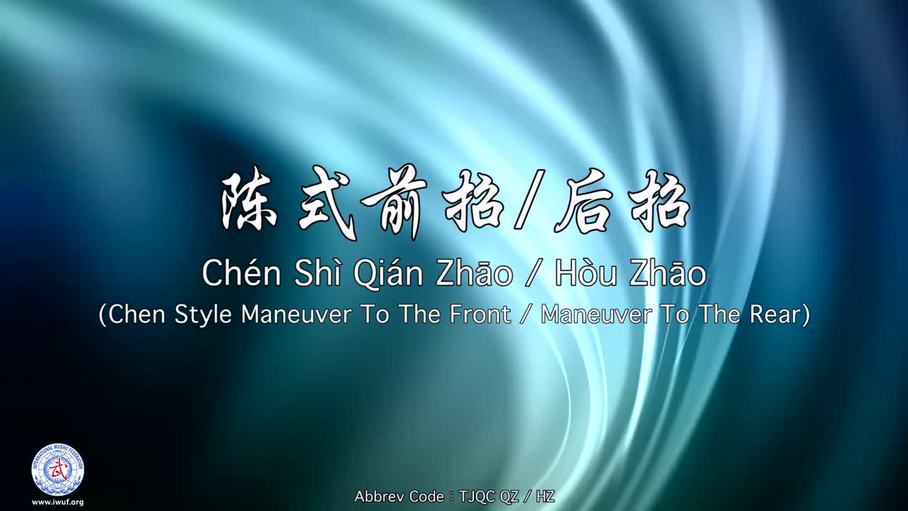 35.陈式前招后招