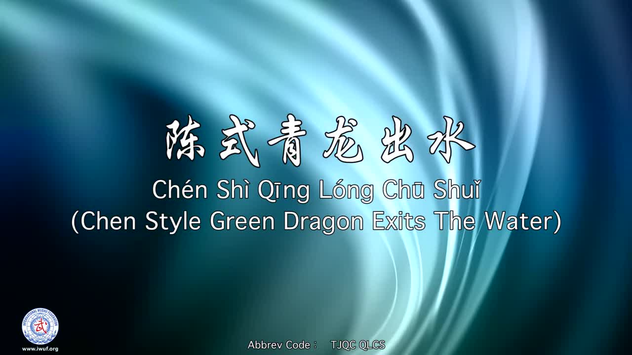 36.陈式青龙出水