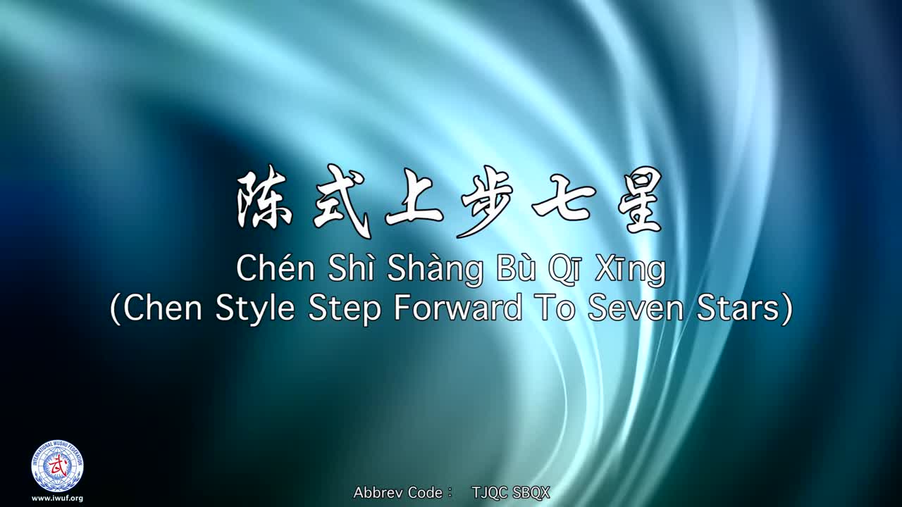 38.陈式上步七星