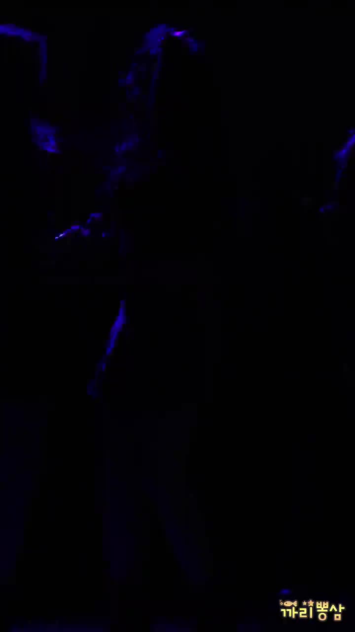 171118 Meow Meow
