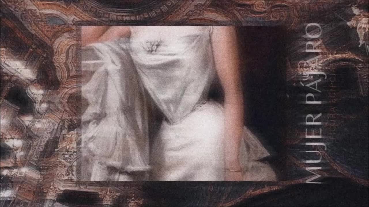 mujerpájaro_cinturapequeña+abdomenplano