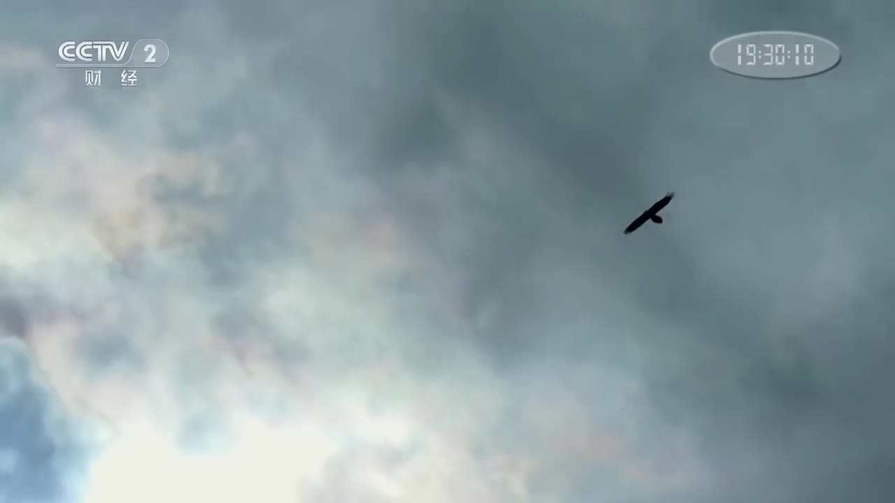 第三集 锤炼成器