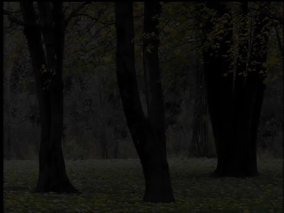 潮湿的心（版本1-30fps）（DVD音源）