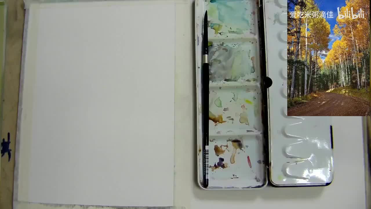 8植物的绘画：白桦树林写生技法（暖色调为主）