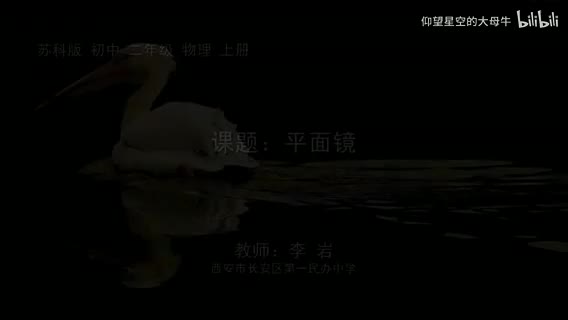 苏科物理八上3.4、平面镜[李老师]【市一等奖】优质课