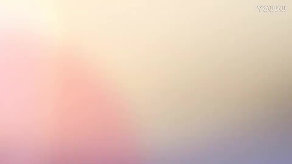 枣梆剧团专场10 杨门女将 张东兰