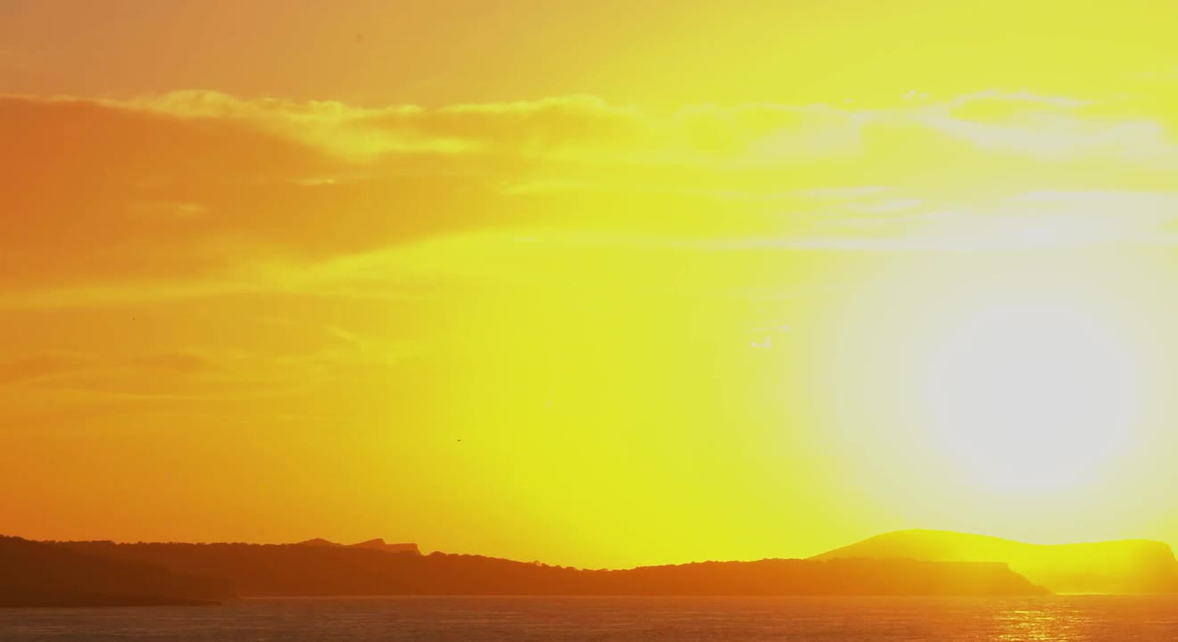明天-【刘森/华北浪革/无边界音乐】全收录