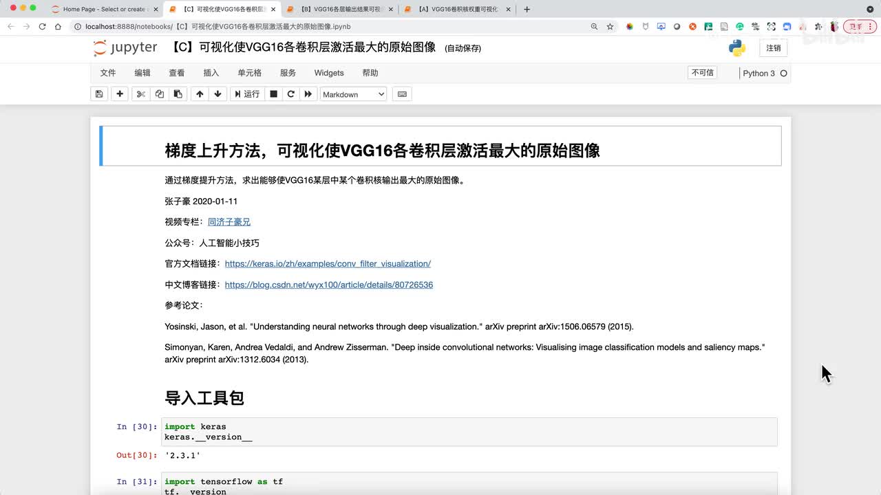 代码实战-可视化使VGG16各卷积层激活最大的原始图像