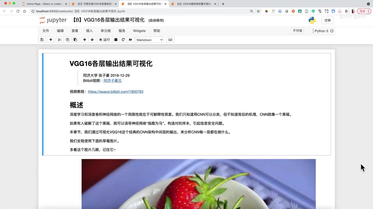 代码实战-VGG16各层输出结果可视化