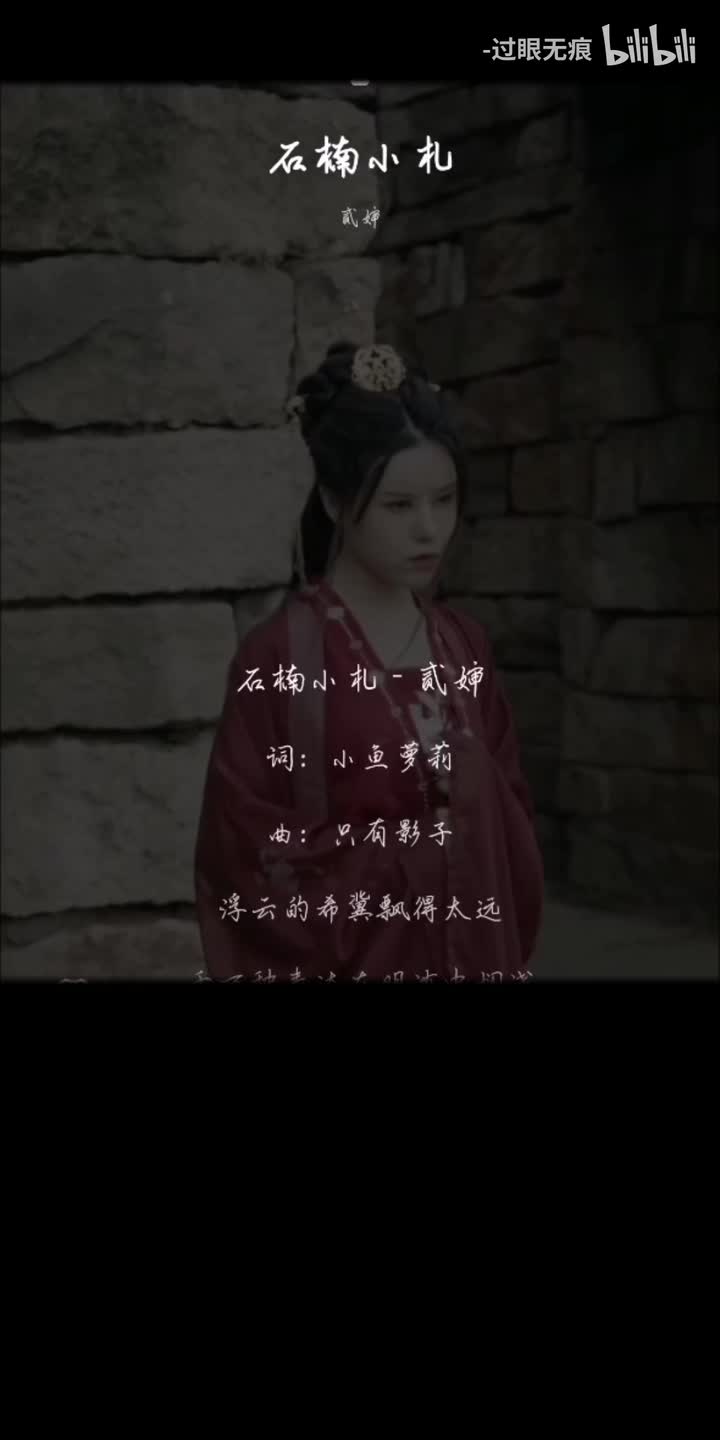 97.石楠小札-贰婶